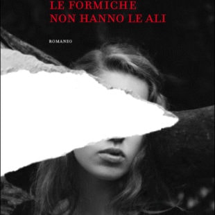 Le formiche non hanno le ali