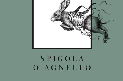 Spigola o agnello? Esordio col botto di Riccato