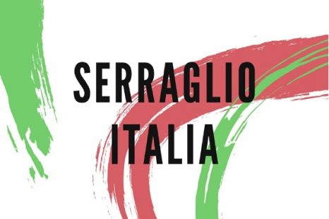 Serraglio Italia, la nuova raccolta di racconti di Bugliani