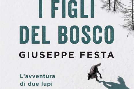 Giuseppe Festa ci parla del suo nuovo libro